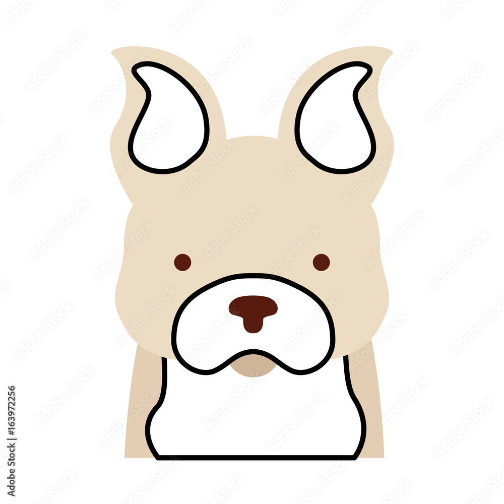 cute dog mascot icon vector illustration design cute dog mascot icon vector illustration design