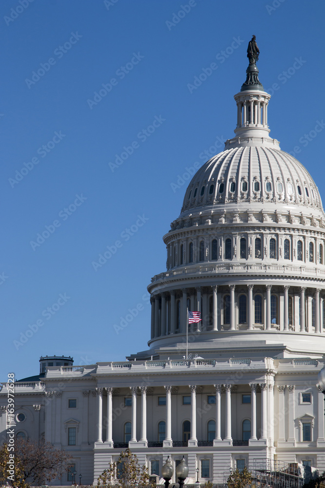 Obraz premium Kopuła US Capitol, Waszyngton, DC, USA