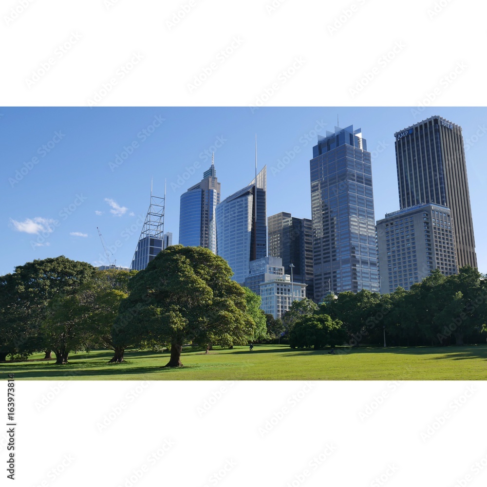 Fototapeta premium SYDNEY ROYAL BOTANIQUE GARDEN