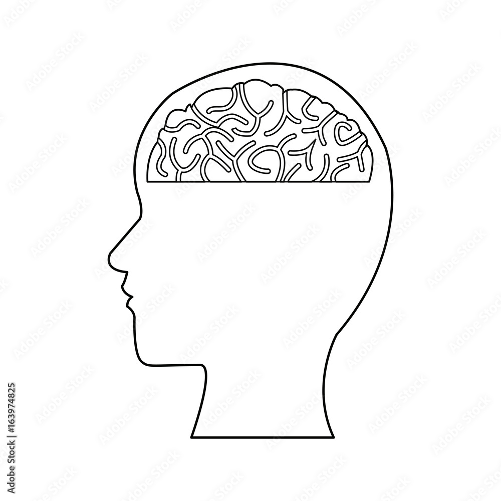 human head and brain mind concept human head and brain mind concept