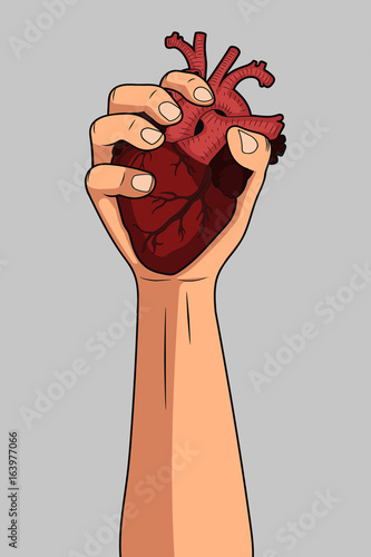 Heart in hand. Vector.