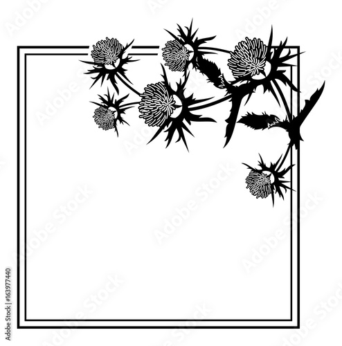 Square frame with thistle silhouette. Vector clip art.
