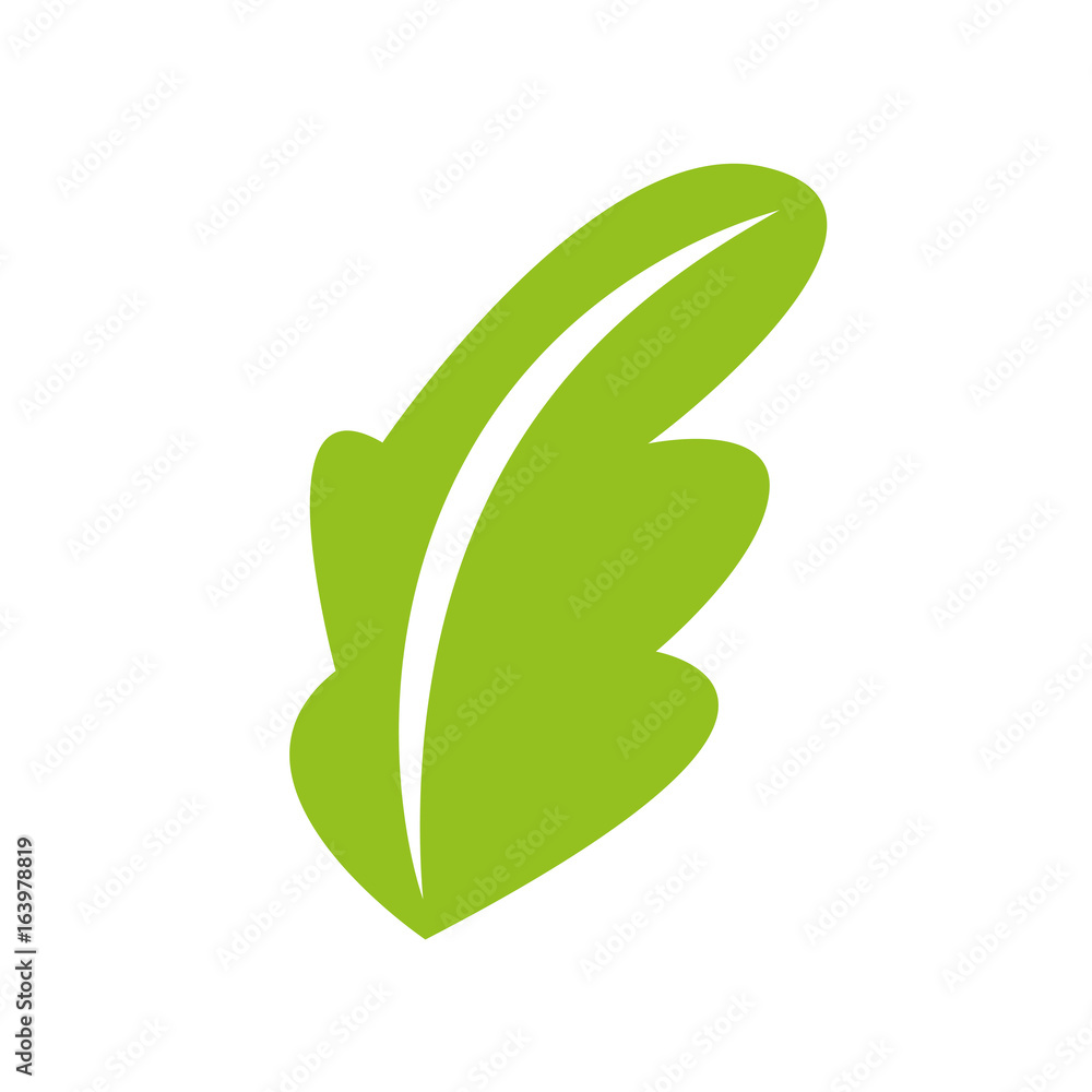 tea leafs product icon vector illustration design tea leafs product icon vector illustration design
