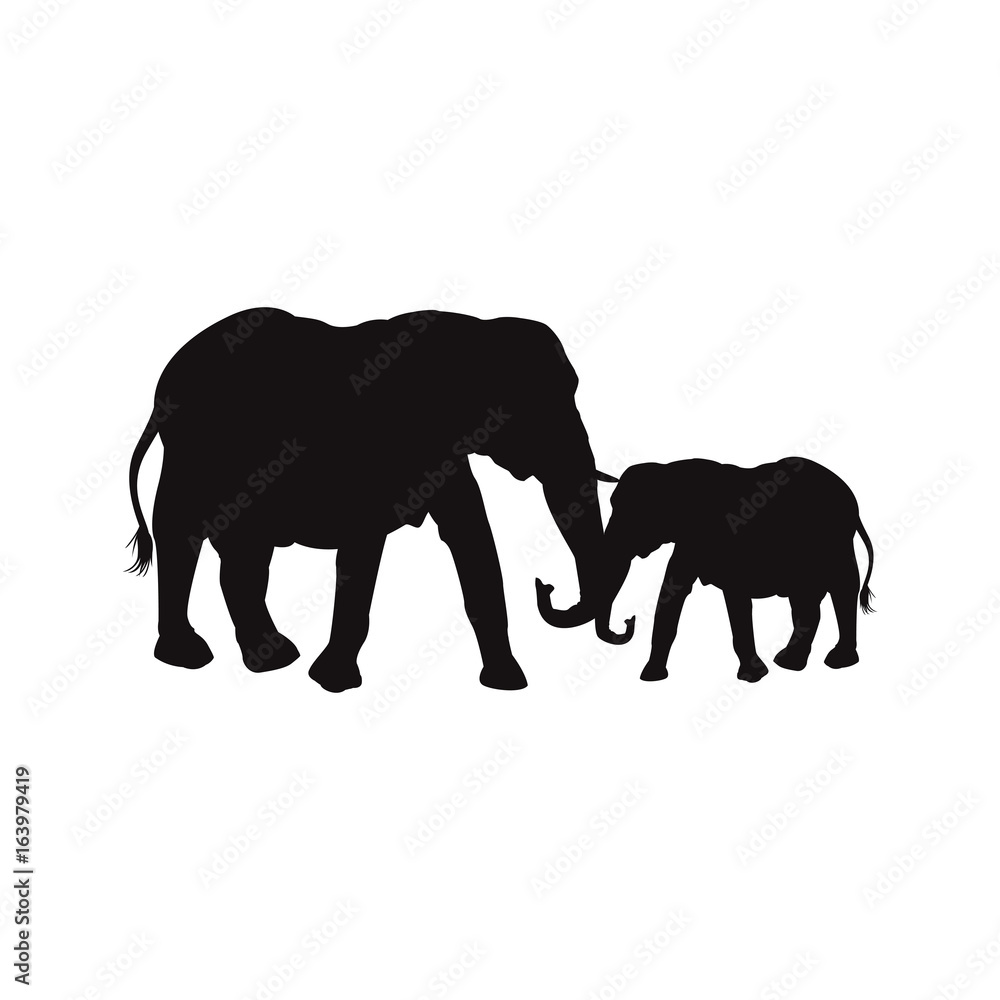 Fototapeta premium mom and baby elephants family animal wildlife