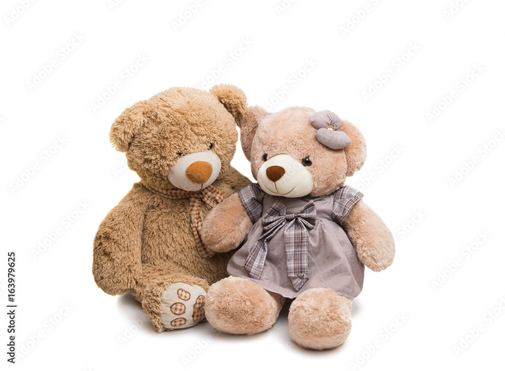 Obraz premium Soft toy bear isolated