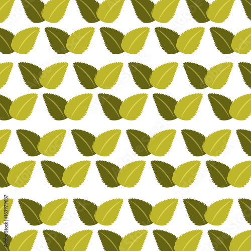 tea leafs product pattern vector illustration design