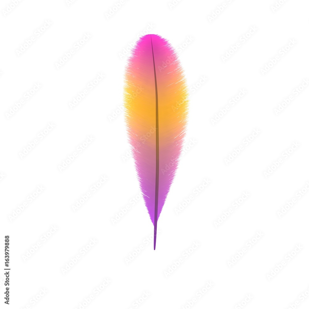 Colorful feather. Isolated on white background. 3D rendering illustration. Colorful feather. Isolated on white background. 3D rendering illustration.