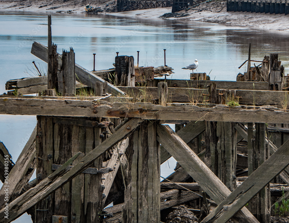 Decaying wooden structure next to river Decaying wooden structure next to river