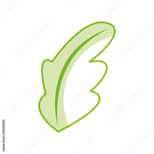 tea leafs product icon vector illustration design