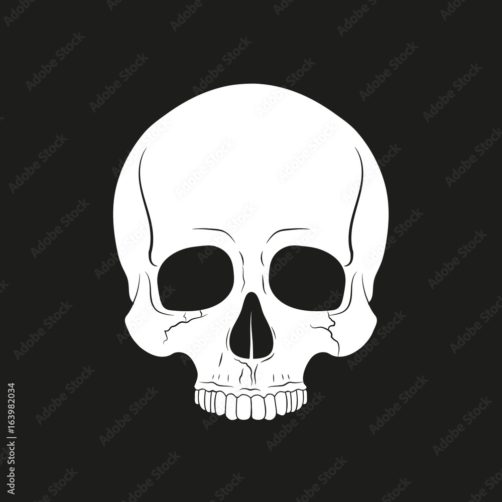Obraz premium Skull. Vector.