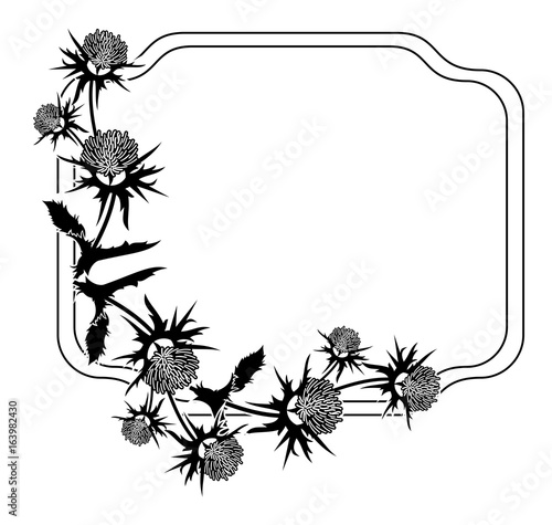 Decorative frame with thistle silhouette. Vector clip art.