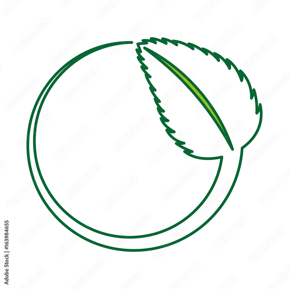tea leafs product icon vector illustration design tea leafs product icon vector illustration design