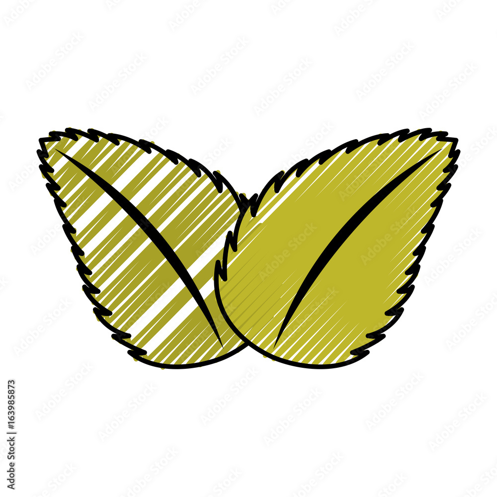 tea leafs product icon vector illustration design tea leafs product icon vector illustration design