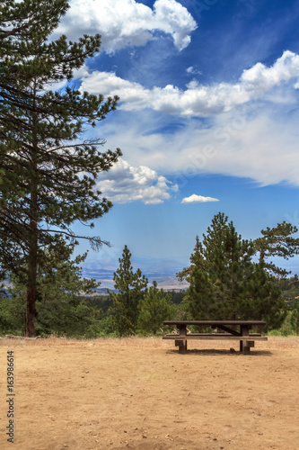 Forest Campground with Picnic Table and Cloudly Sky