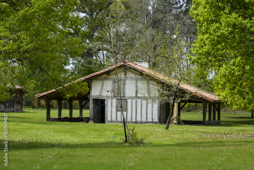 Maison Landaise, Ecomusée de Marquèze, Parc naturel régional des Landes de Gascogne, Sabres, Gironde, 33 photo