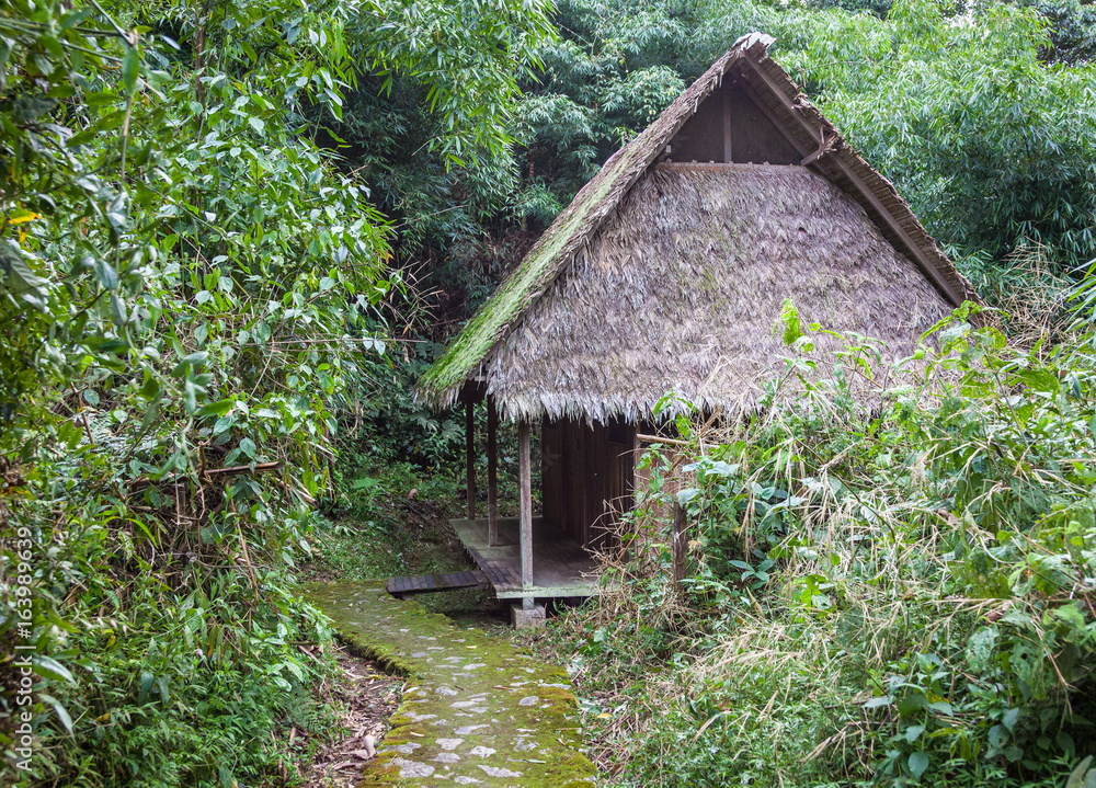 Rainforest Cabin Rainforest Cabin