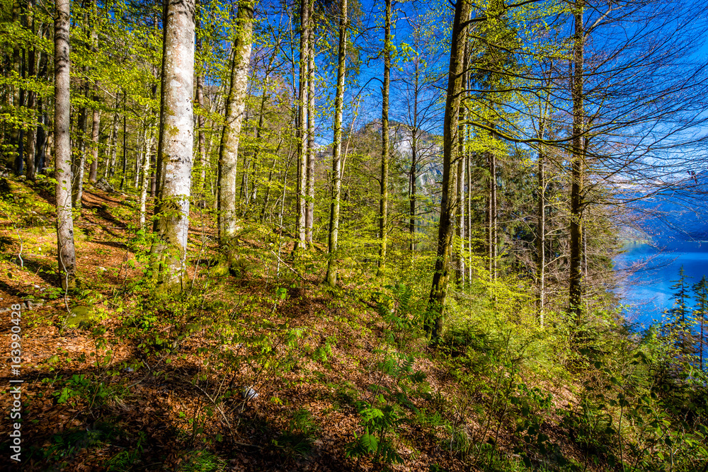 Berchtesgaden - Germany Berchtesgaden - Germany
