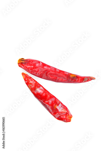 The chili of isolated on a white background