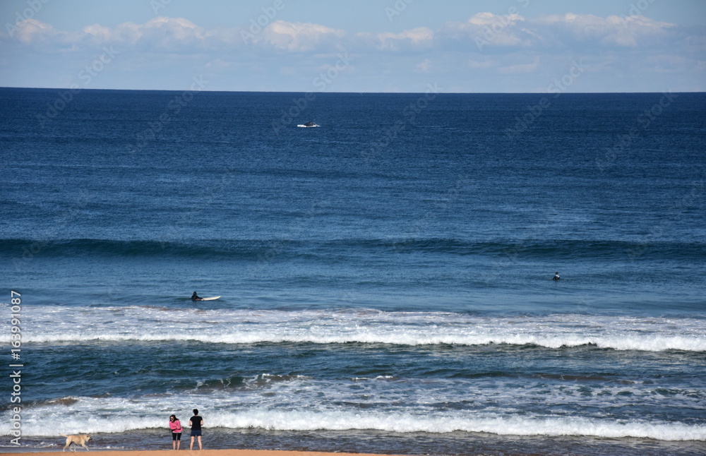 People relaxing and surfing at Copacabana Beach on a sunny day in winter time (Central Coast NSW Australia). A whale jumping in the background.