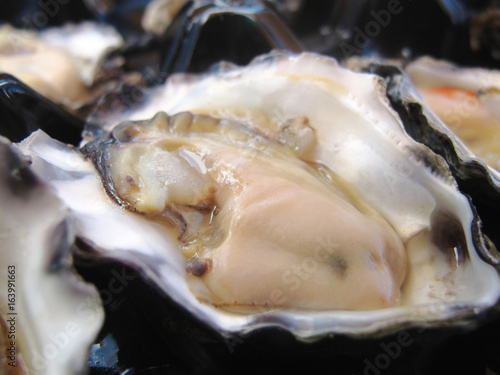 big raw plump oyster look delicious