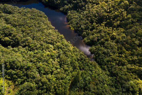 Aerial View of River in Rainforest, Latin America