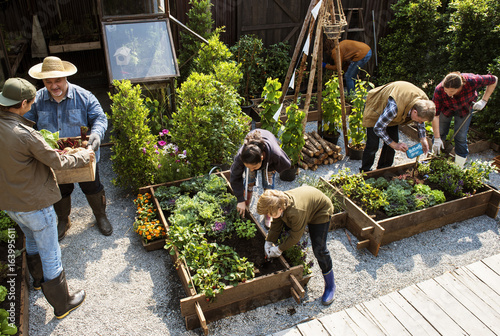 Group of people planting vegetables in greenhouse photo