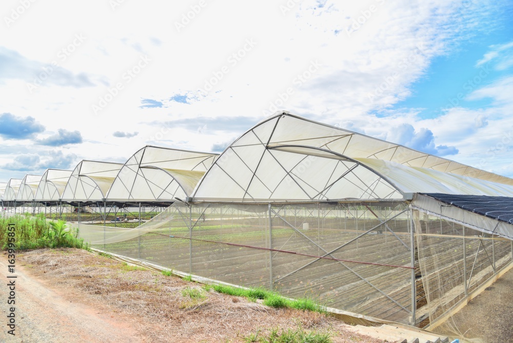 Greenhouses for Organic Farming in Thailand Greenhouses for Organic Farming in Thailand