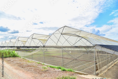 Greenhouses for Organic Farming in Thailand