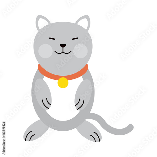 cat cartoon pet animal icon image