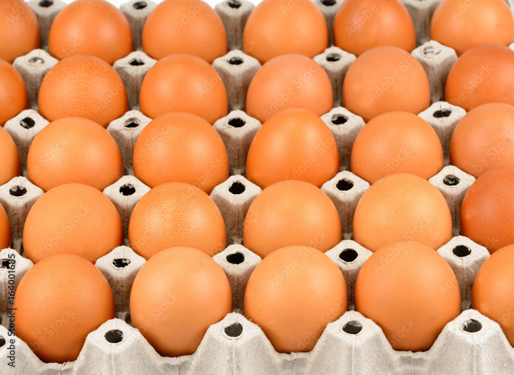 Full tray of freshly laid free range organic eggs, Fresh Eggs Full tray of freshly laid free range organic eggs, Fresh Eggs