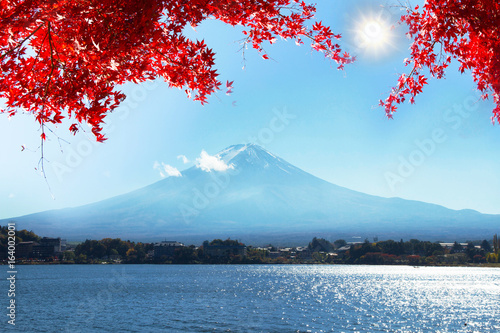 Fuji With Rea maple leaf background © i am way