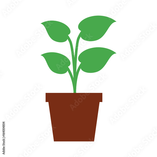 plant in pot icon image