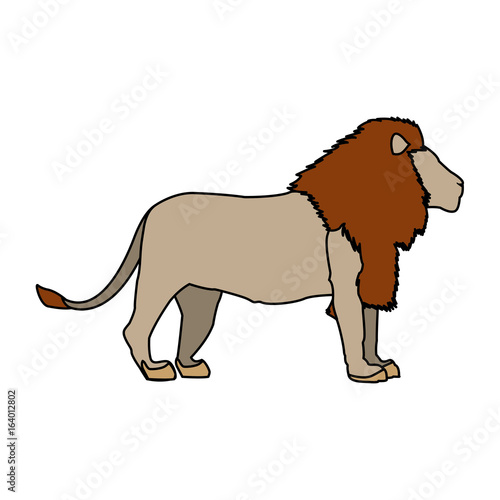 big lion african proud powerful nobility standing and fierce vector illustration