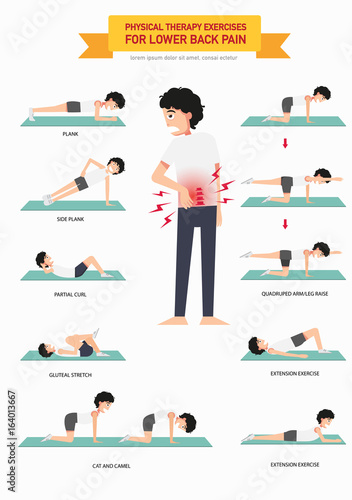 Physical therapy exercises for lower back pain infographic, illustration.