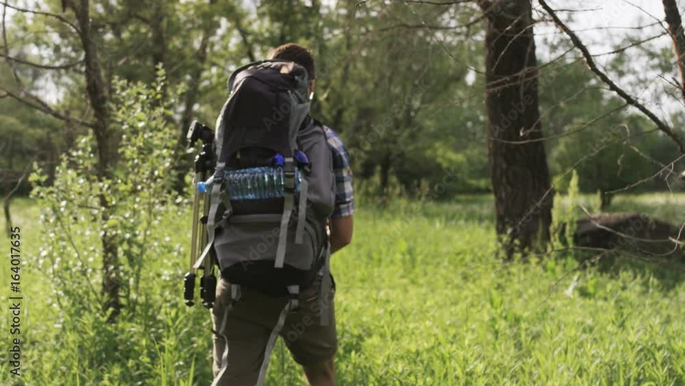 Man With a Backpack in the Woods Seen From the Back Man With a Backpack in the Woods Seen From the Back
