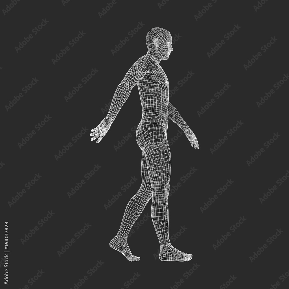 Walking Man. 3D Human Body Model. Geometric Design. Human Body Wire Model. Vector Illustration. Walking Man. 3D Human Body Model. Geometric Design. Human Body Wire Model. Vector Illustration.