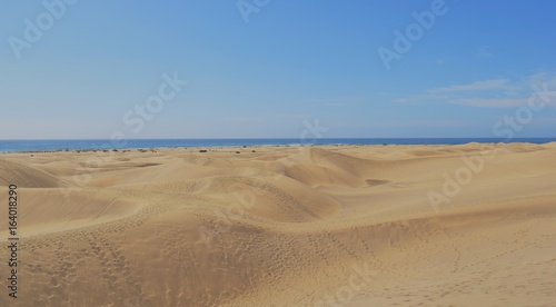 dunes de maspalomas, gran canaries