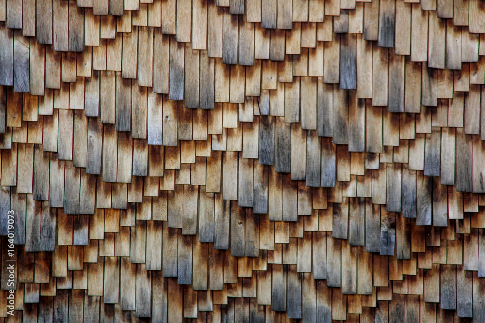 wooden wall tree structured texture wooden wall tree structured texture