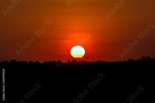 Landscape photo of sunset at forest.