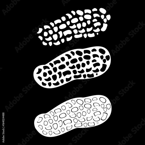 Peanut icon .