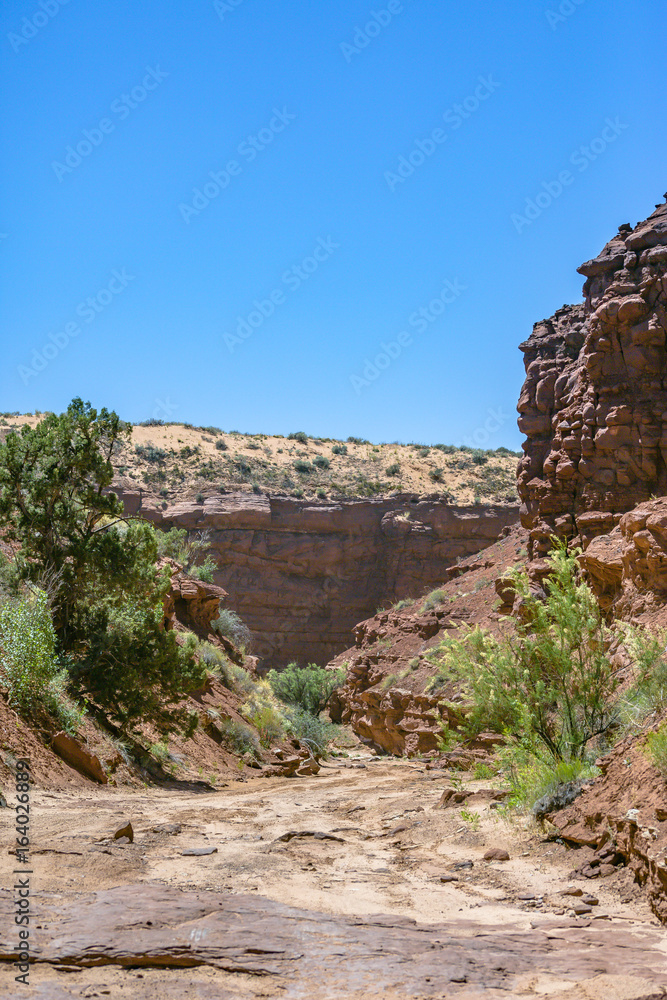 Off road vehicle views of Moab Utah trails on bright sunny days