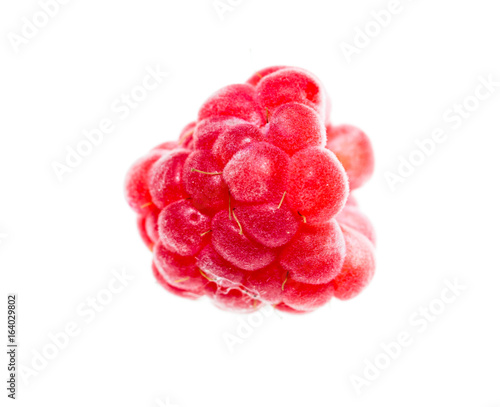 Bild auf Leinwand Juicy red raspberries on white background