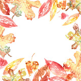 Watercolor hand painted red and yellow autumn leaves	