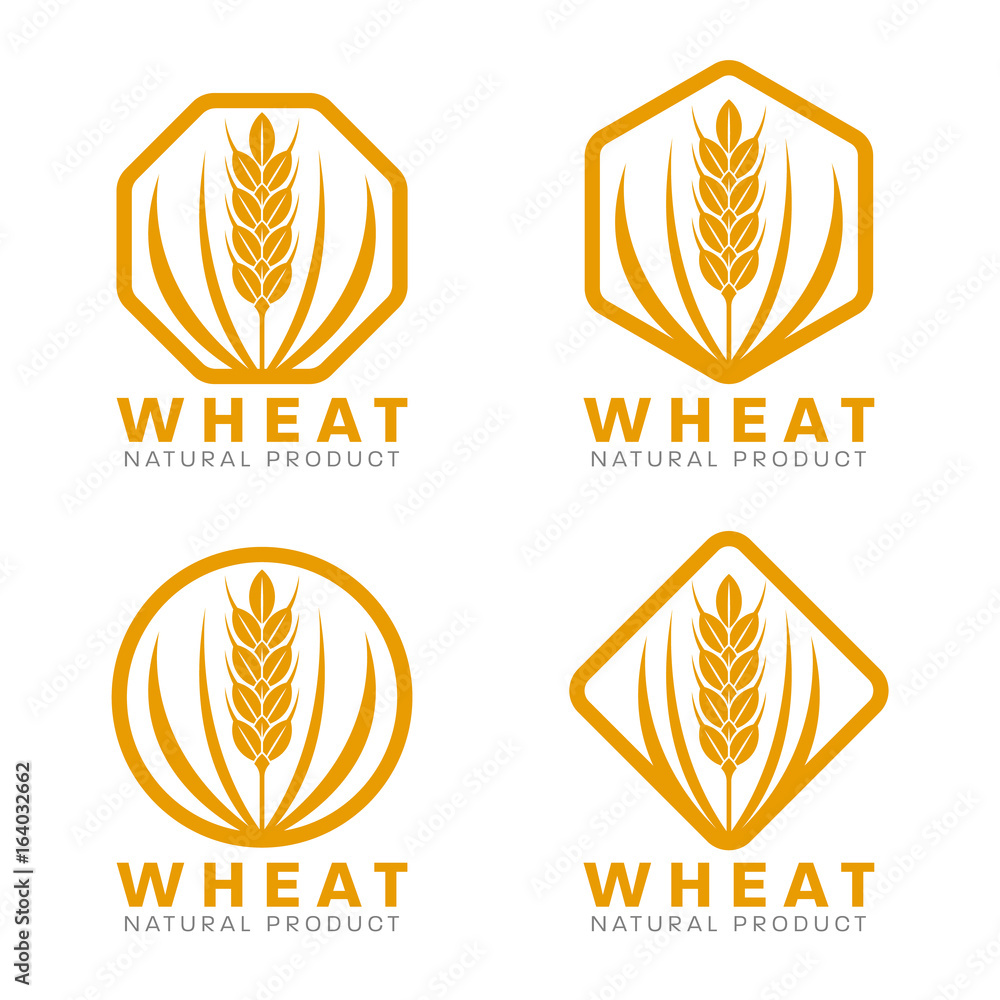 Orange Wheat rice logo sign vector design Orange Wheat rice logo sign vector design
