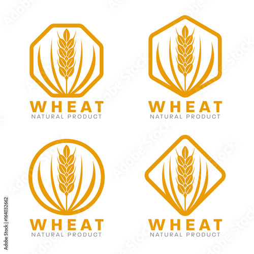 Orange Wheat rice logo sign vector design