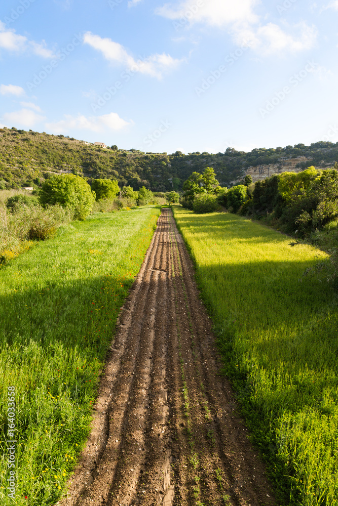 Plowed terrain in the sicilian countryside Plowed terrain in the sicilian countryside