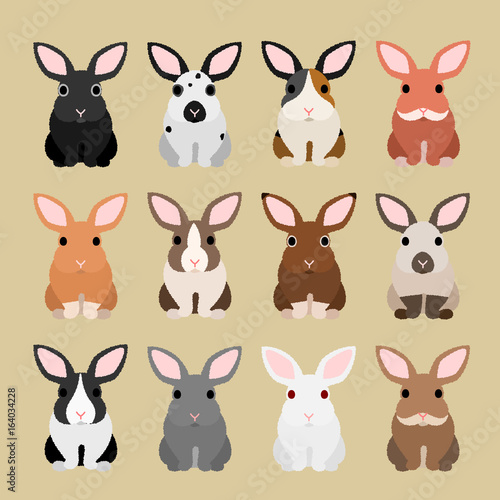 cute rabbit coloring variations