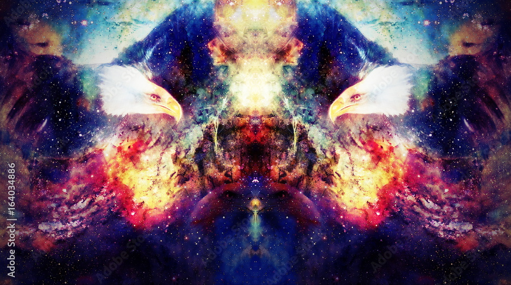 Eagle in cosmic space. Profile portratit. Computer collage.