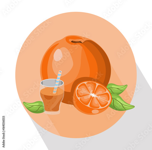 Orange smoothie Summer drink Vector illustration