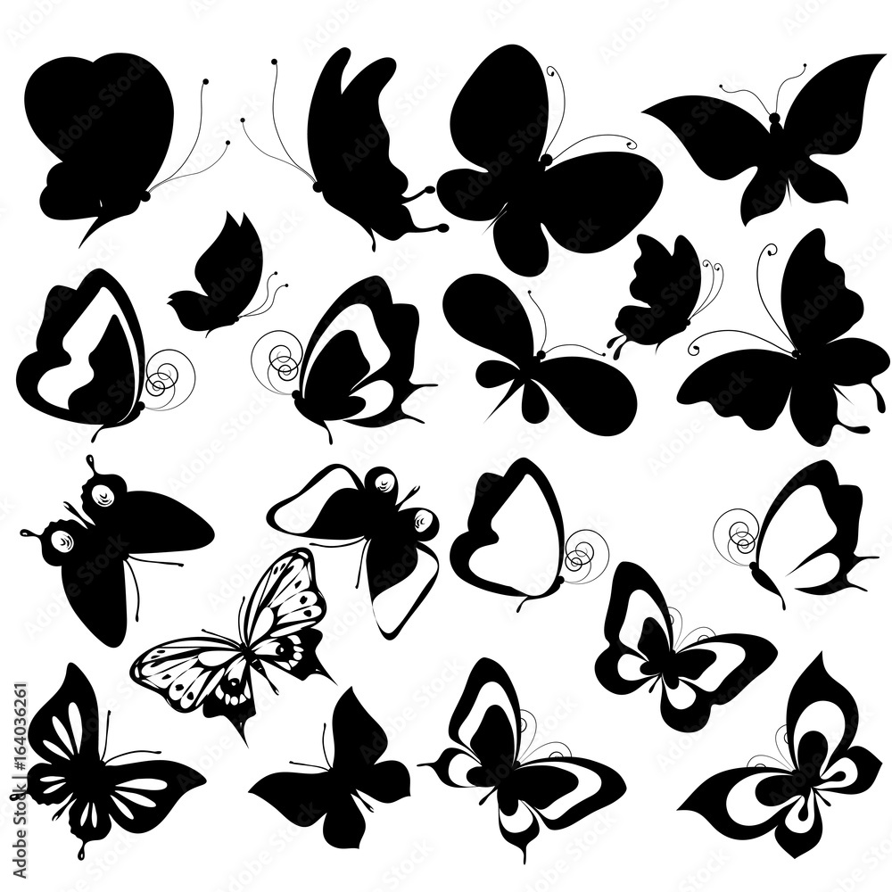 black butterfly, isolated on a white black butterfly, isolated on a white